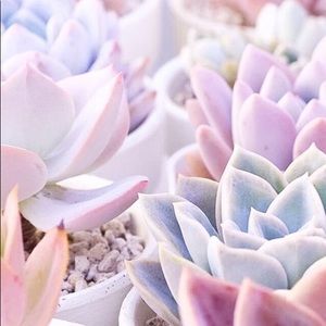 Meet your Posher, Katelyn